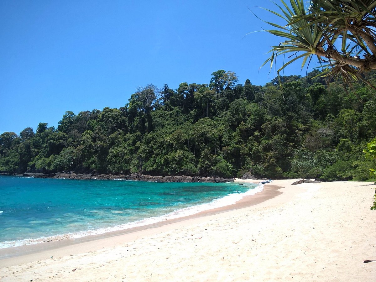 Open Trip Teluk Hijau Sukamade 2D1N